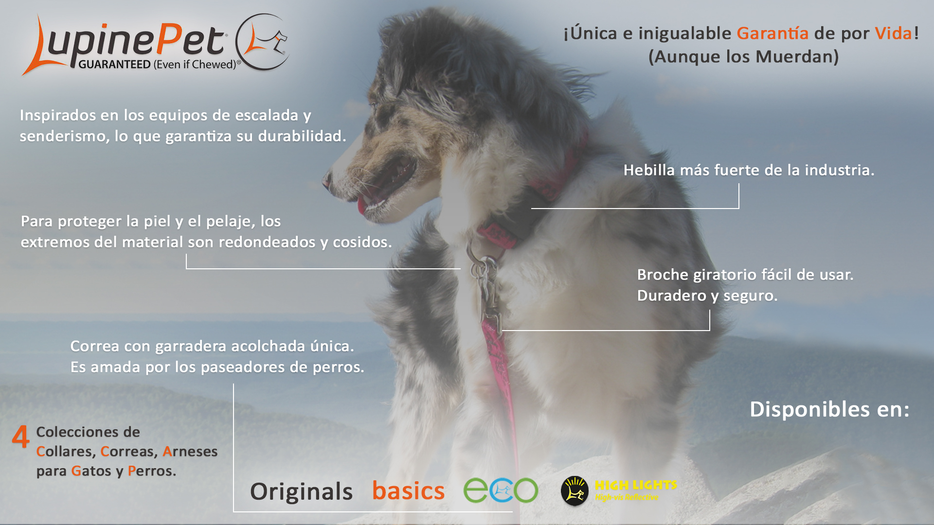 Introducción Lupine Pet